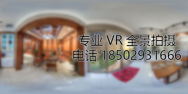 武平VR全景技术在未来可能的发展方向和应用领域?